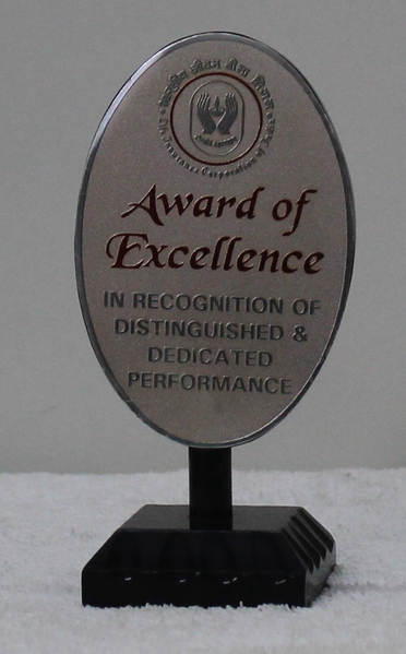 Award of Excellence
